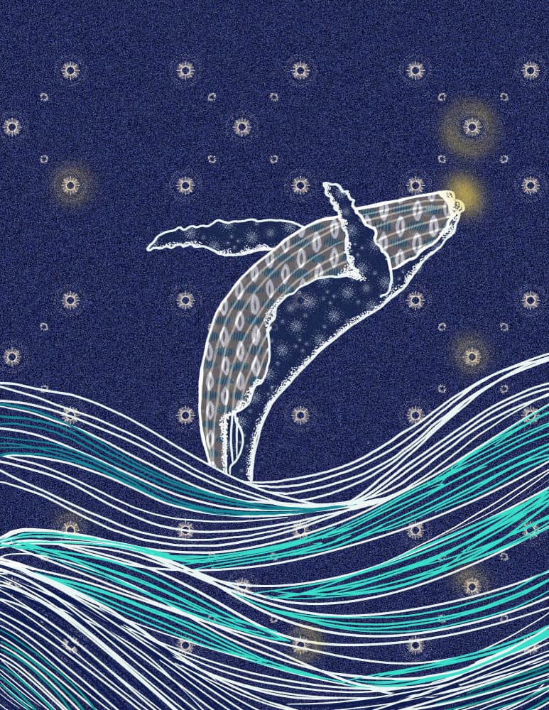 Leaping Whale Starry Night by Art by the Ocean — canvas wall art
