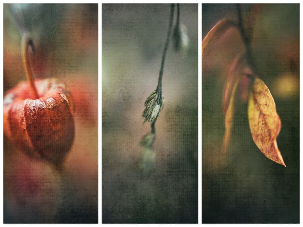 Autumn Leaves and Lantern by Ulrike Eisenmann — canvas wall art