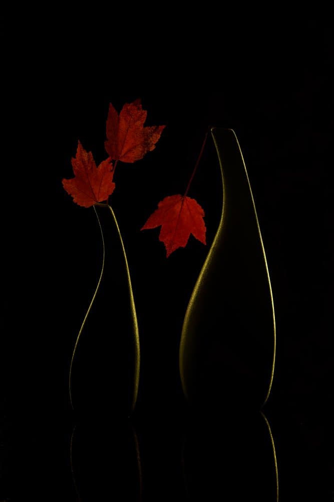 Glowing Autumn Vases by Wendy Xu — canvas wall art