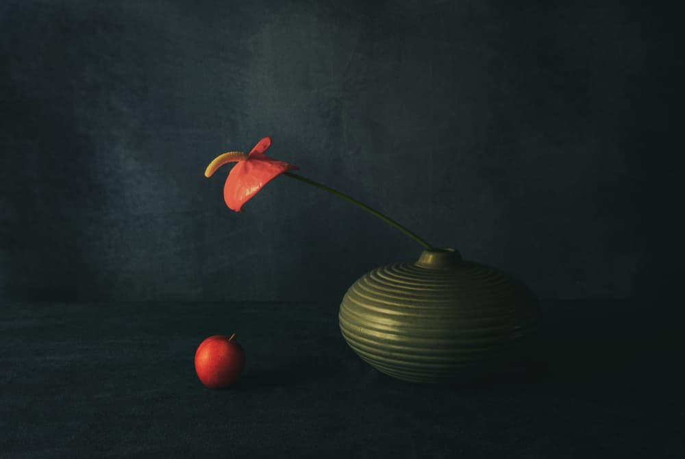 Red Anthurium Still Life by May G — canvas wall art