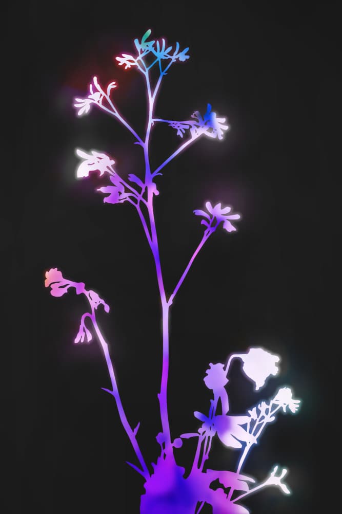 Glowing Neon Flowers by amini54 — canvas wall art