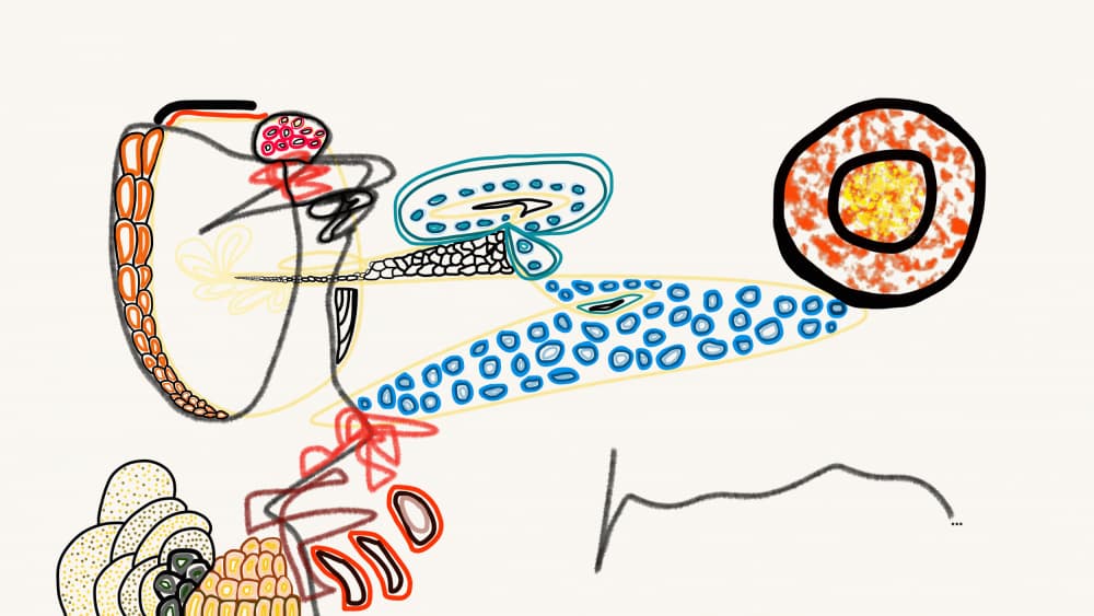 Complex Biological System by Pelin Atilla — canvas wall art