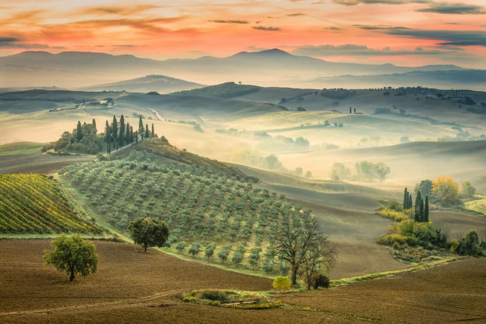 Misty Tuscan Morning by Adrian Popan — canvas wall art