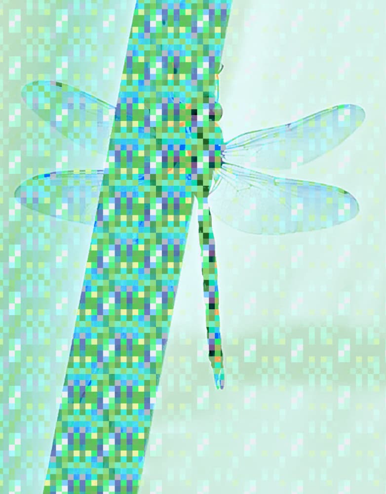 Pixelated Dragonfly by Hanne Spangsberg — canvas wall art