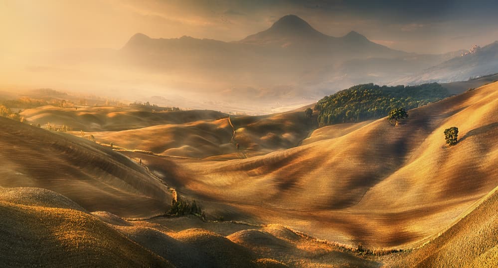 Misty Golden Hills by Krzysztof Browko — canvas wall art