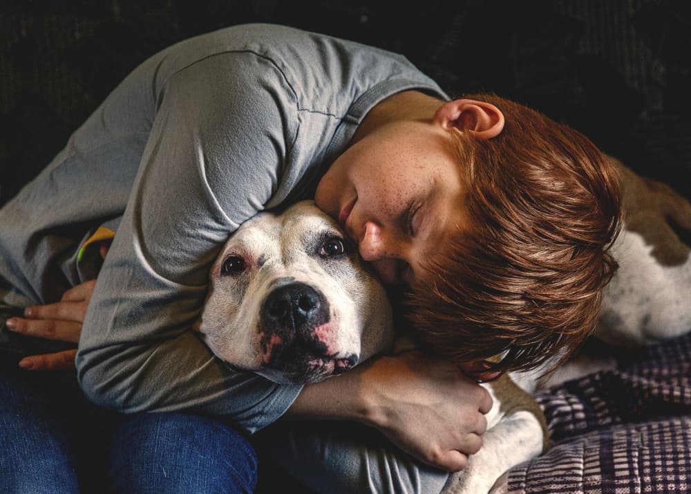 Loving Dog Embrace by Normunds Kaprano — canvas wall art