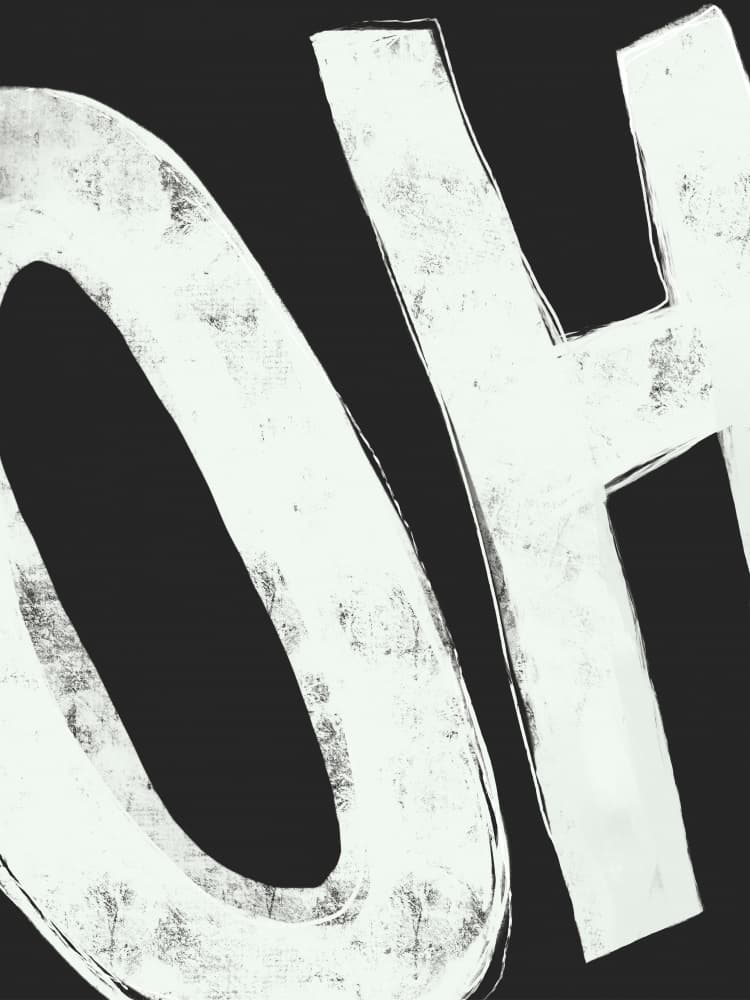 Bold OH Statement by Sarah Bühler — canvas wall art