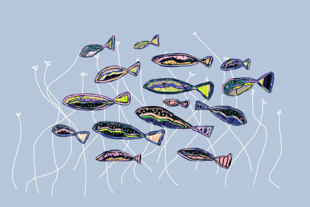 Colorful School of Fish by Christina Sillen — canvas wall art