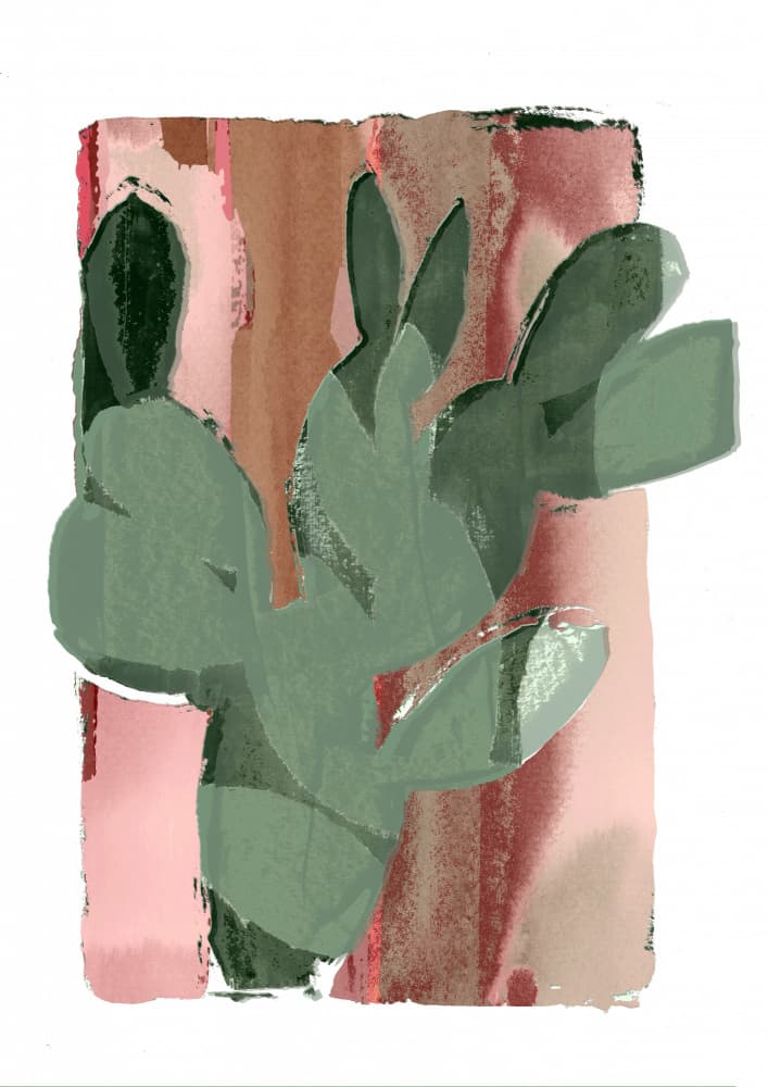 Cactus Green Pink 1 by casa cartissi — canvas wall art