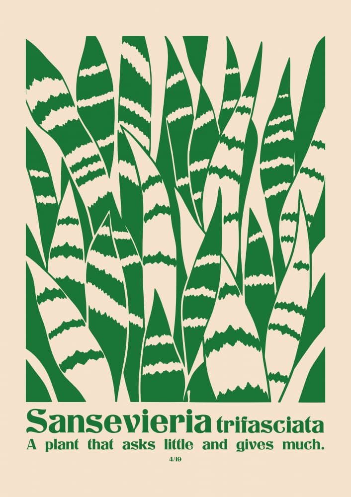 Lush Green Sansevieria by Patryk Krygowski — canvas wall art