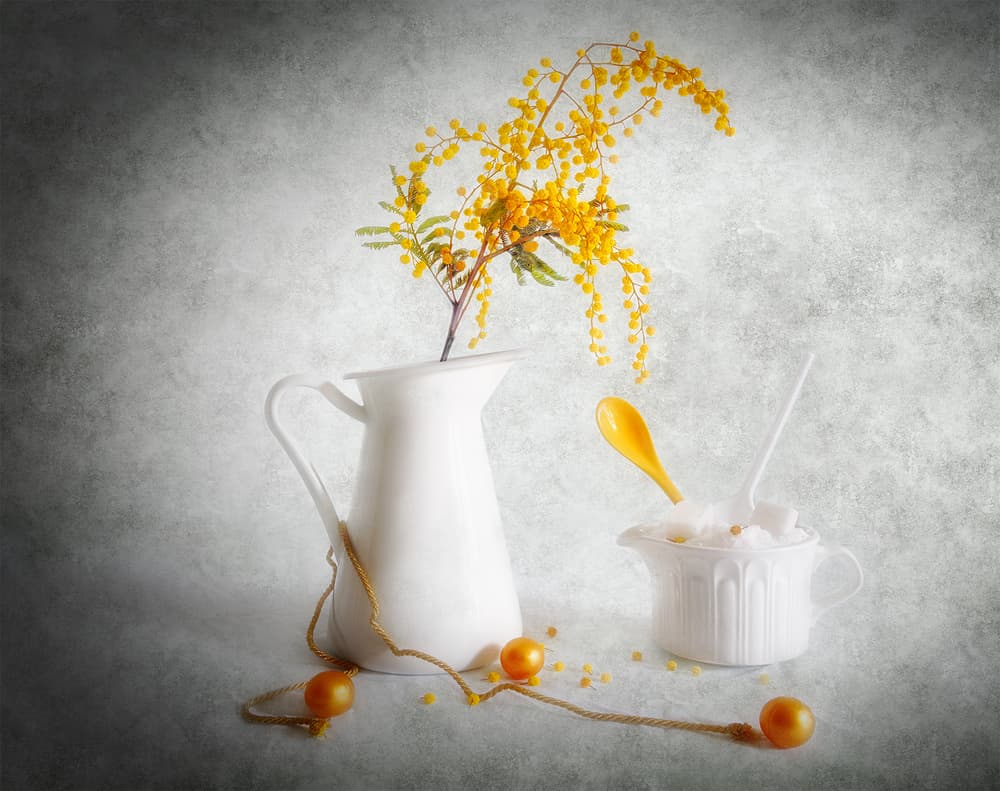 Sweet Mimosa Still Life by Fran Osuna — canvas wall art
