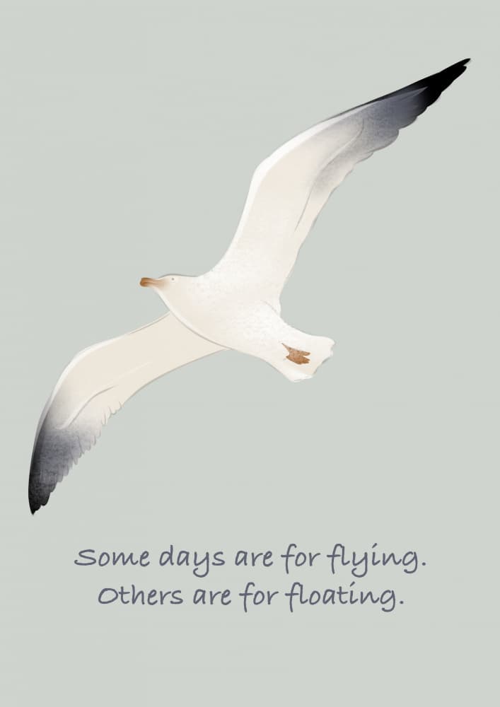 Flying Seagull Quote by Lisen Vennesland — canvas wall art