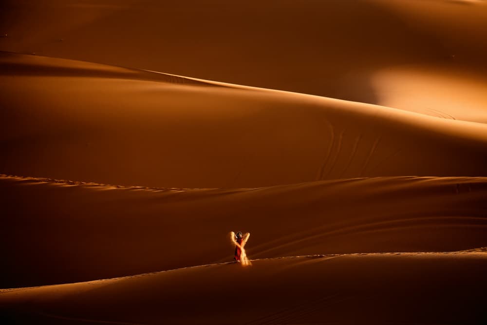 Golden Desert Solitude by Gina Buliga — canvas wall art