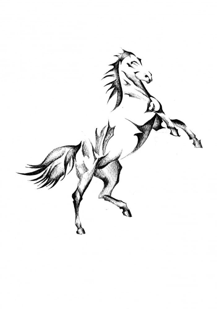 Majestic Rearing Horse by Kulik — canvas wall art