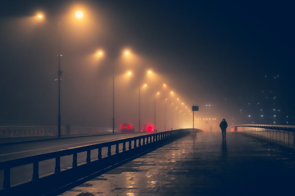 Solitary Walk In Fog by Selaru Ovidiu — canvas wall art