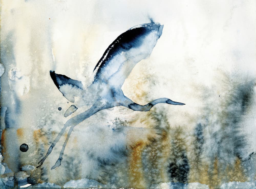 Graceful Heron Flight by RodMacIver — canvas wall art
