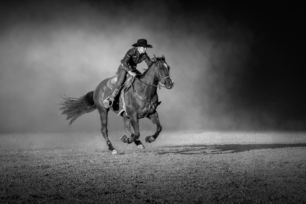 Reining Horse Action by Frank Ma — canvas wall art