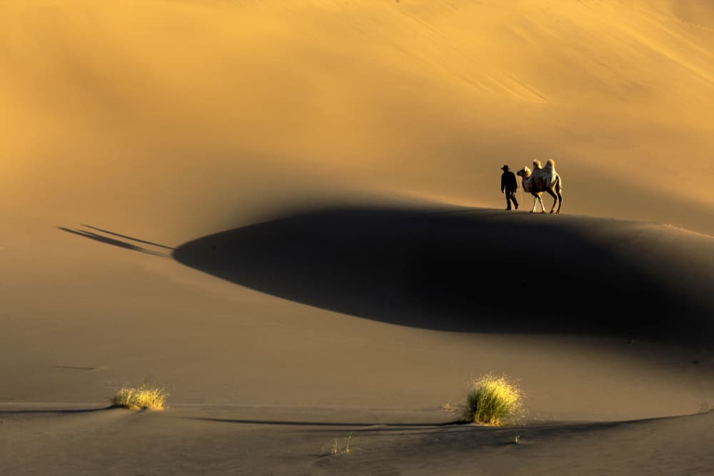 Golden Desert Journey by Sally Widjaja — canvas wall art