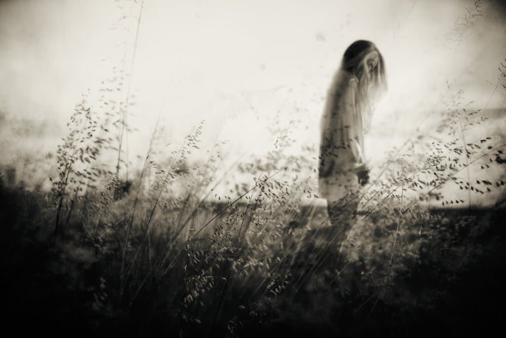 Ghost in the Field by Charlaine Gerber — canvas wall art