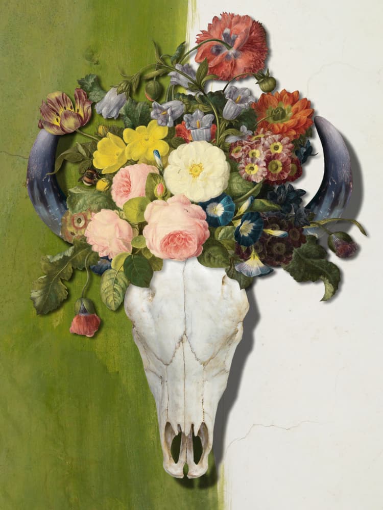 Blooming Bull Skull by Marja van den Hurk — canvas wall art
