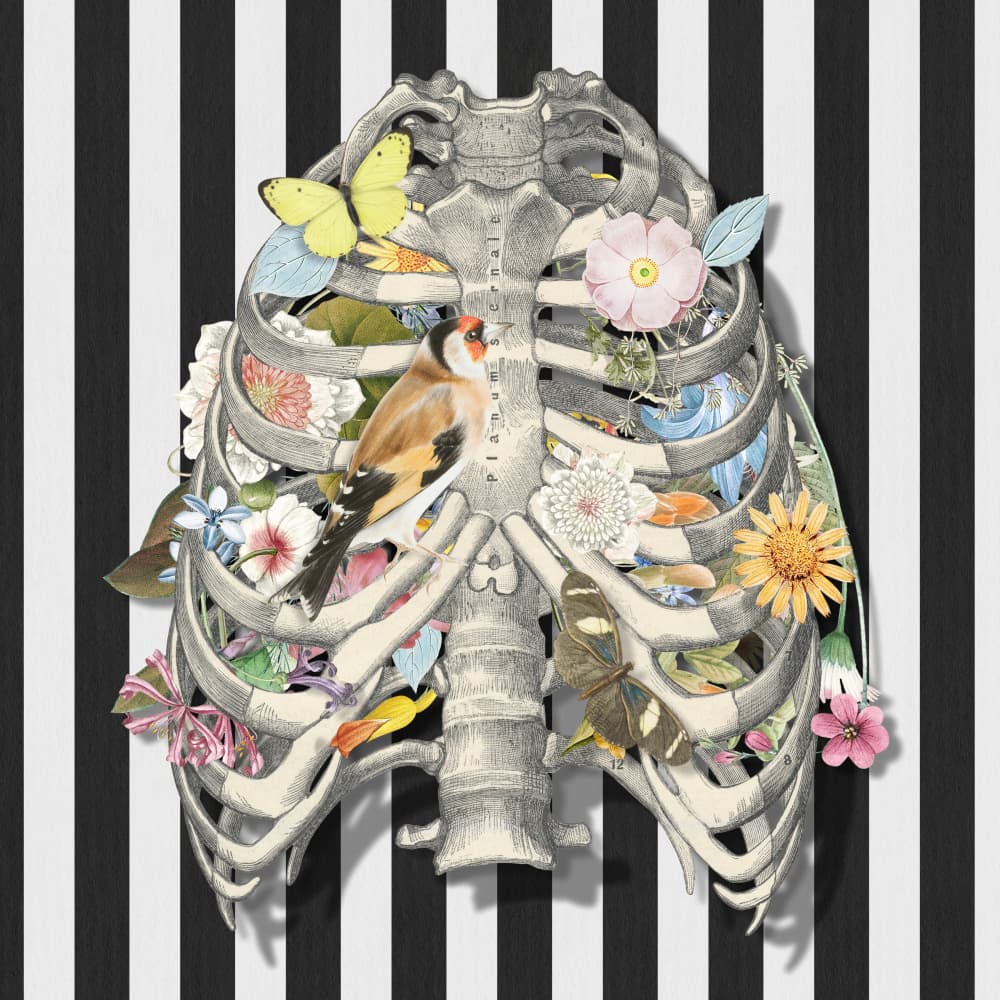Blooming Rib Cage by Marja van den Hurk — canvas wall art