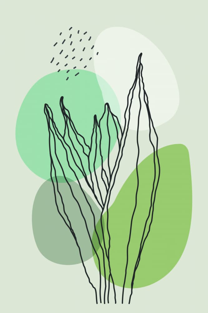 Soft Green Foliage by jay stanley — canvas wall art