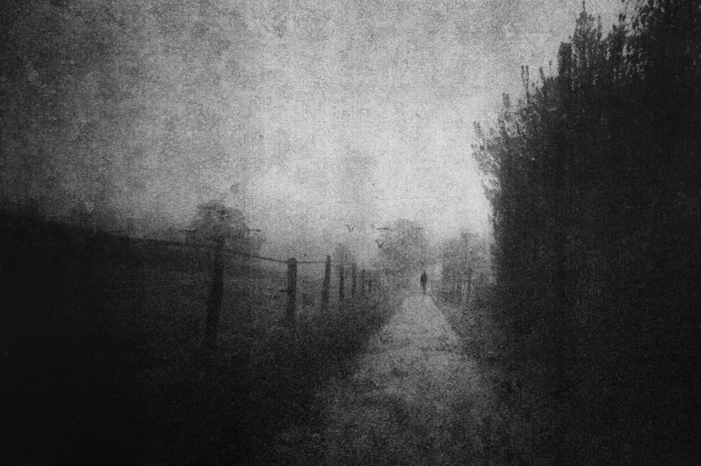 Misty Path Solitude by Adam Dauria ☂ — canvas wall art