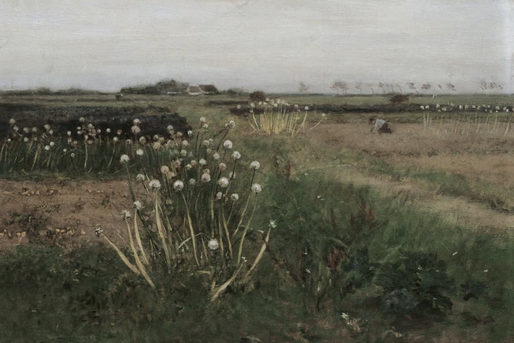 Overcast Farm Field Flowers by The Art Concept — canvas wall art
