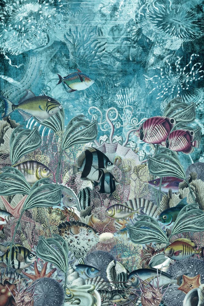 Vibrant Coral Reef by Simon Goggin — canvas wall art