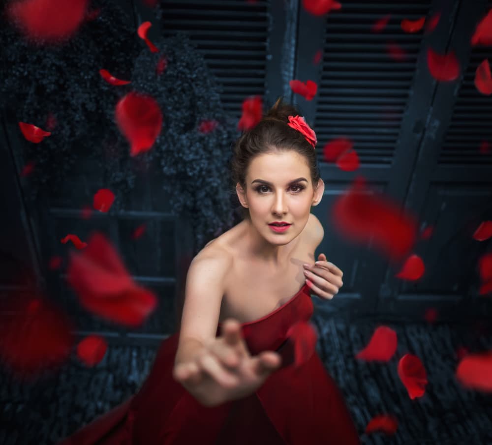 Crimson Petal Allure by hardibudi — canvas wall art