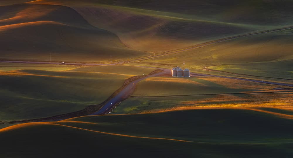 Golden Rolling Hills by James Lu — canvas wall art