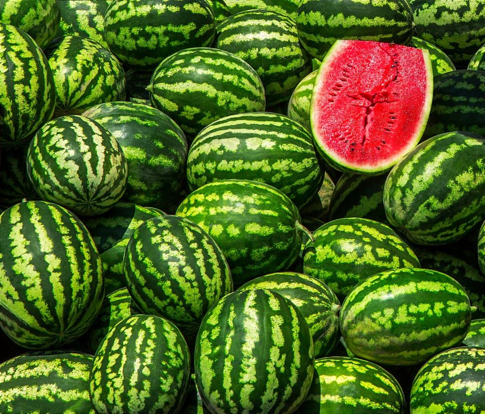 Sweet Summer Watermelons by Sayyed Nayyer Reza — canvas wall art
