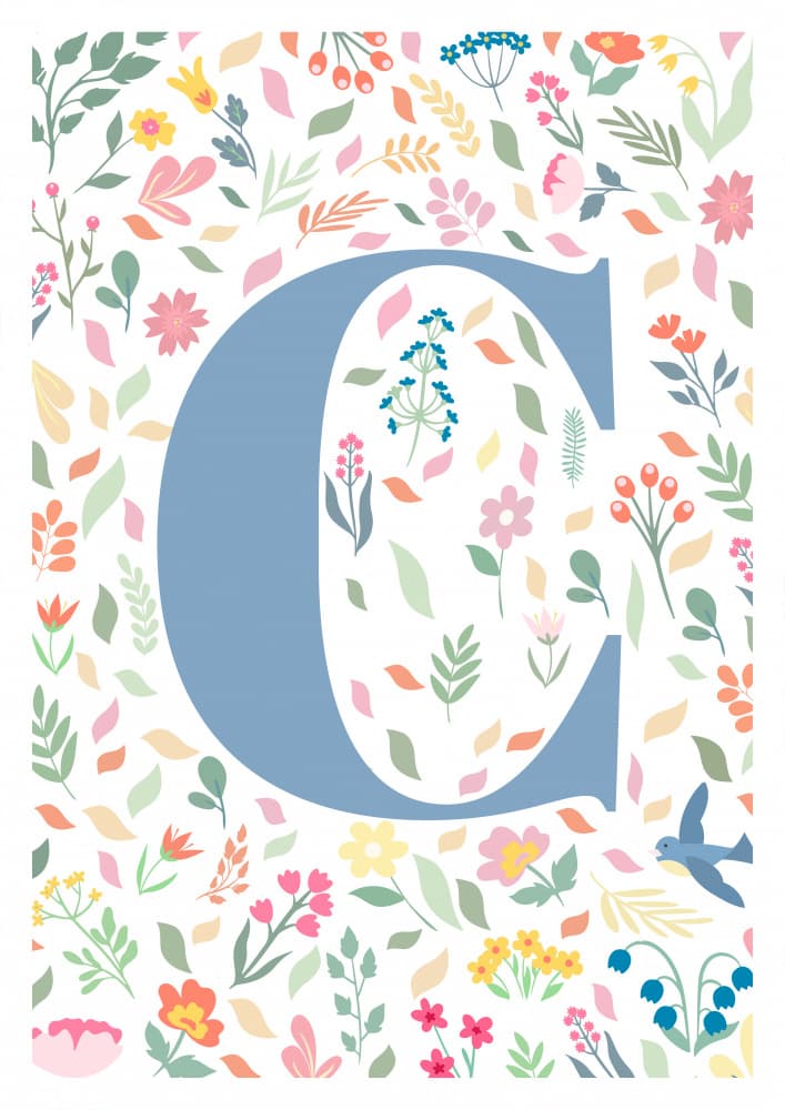 Whimsical Floral Letter C by Sarah Manovski — canvas wall art