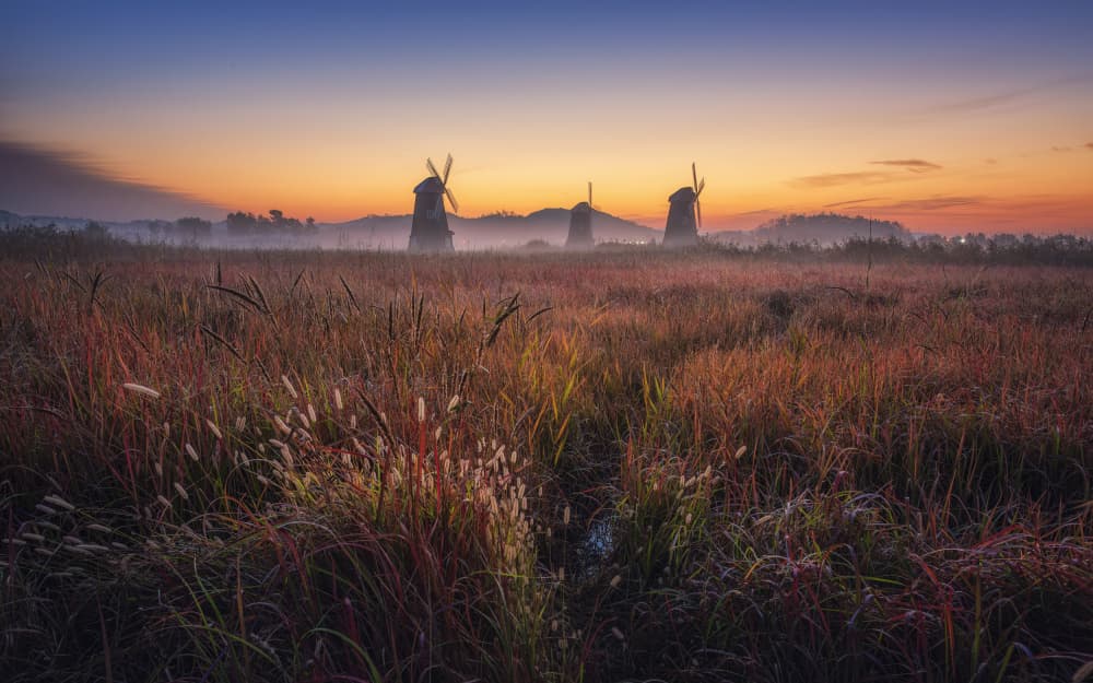 Misty Morning Windmills by Tiger Seo — canvas wall art