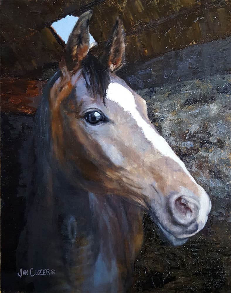 Horse In Stable Light by Jan Clizer — canvas wall art