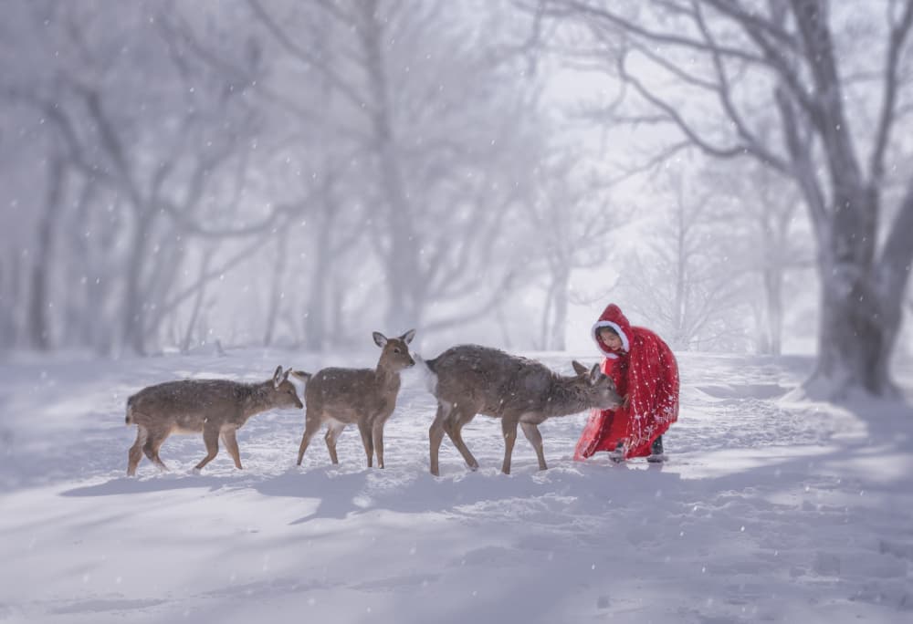Winter Child and Deer by Irene Wu — canvas wall art