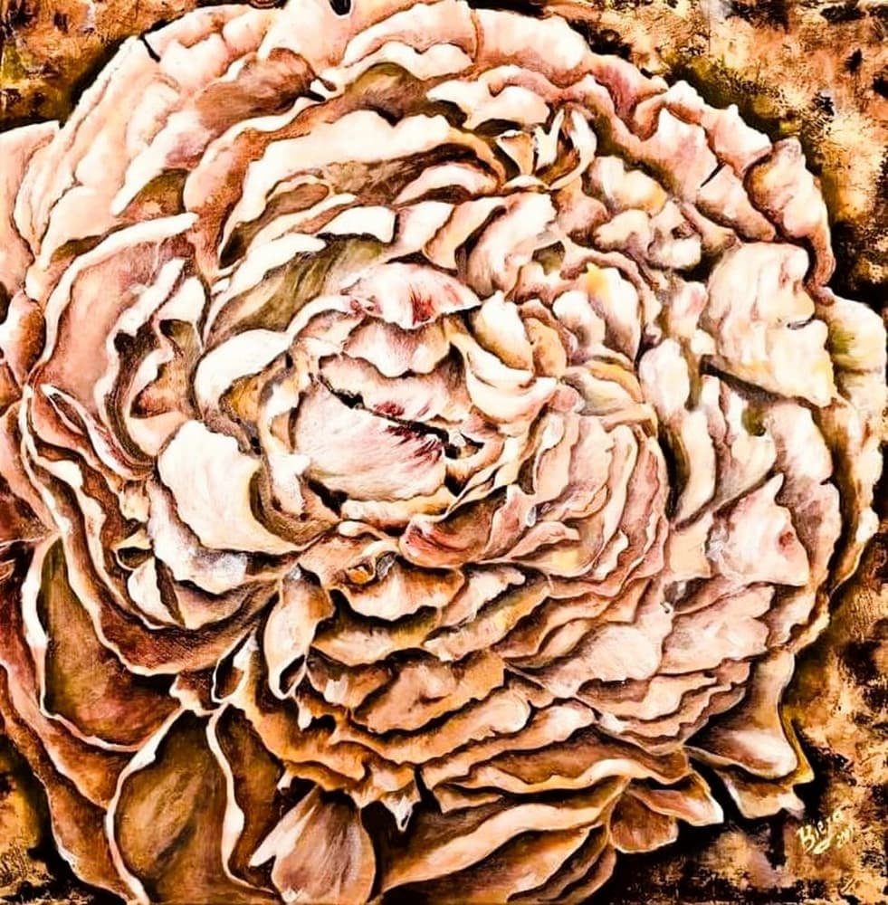Warm Peony Blossom by Anda Bieza — canvas wall art