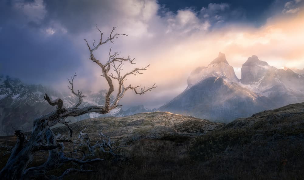 Golden Light Mountain Tree by Gu and Hongchao — canvas wall art