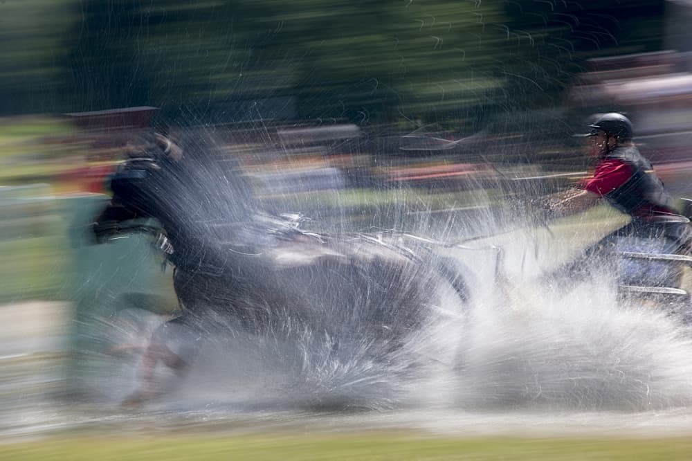 Dynamic Horse Splash by Milan Malovrh — canvas wall art