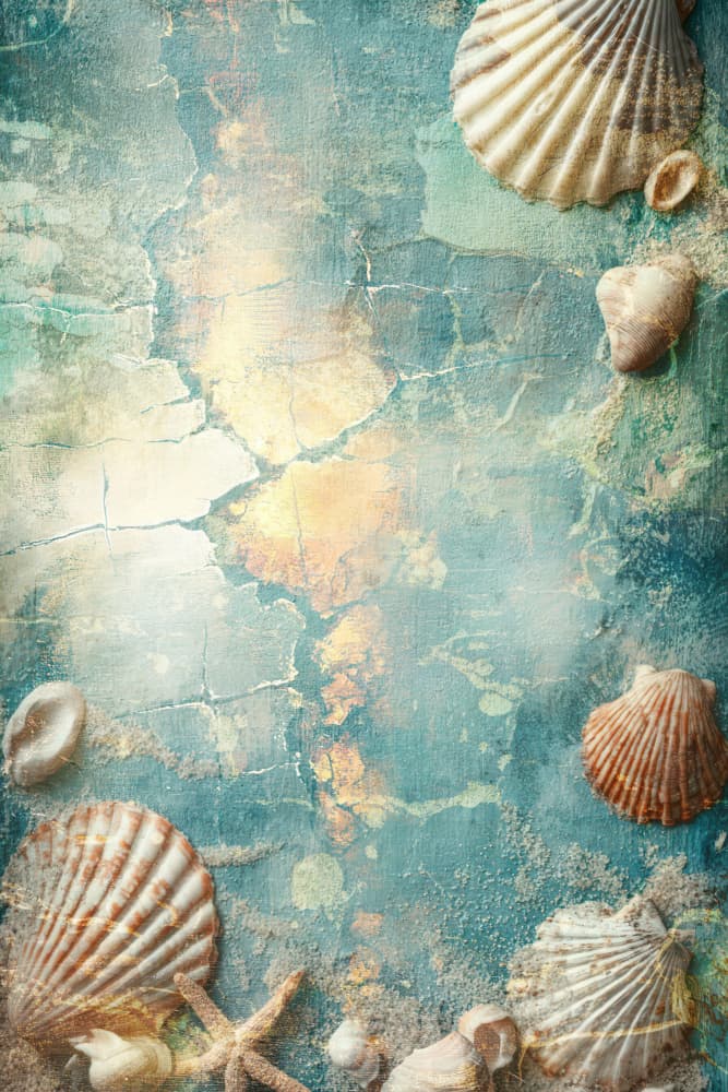 Rustic Beach Shells by Rafal Kulik — canvas wall art