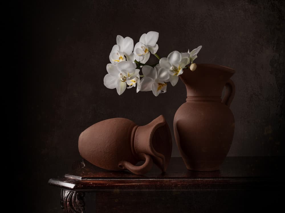 White Orchids Still Life by Margareth Perfoncio — canvas wall art