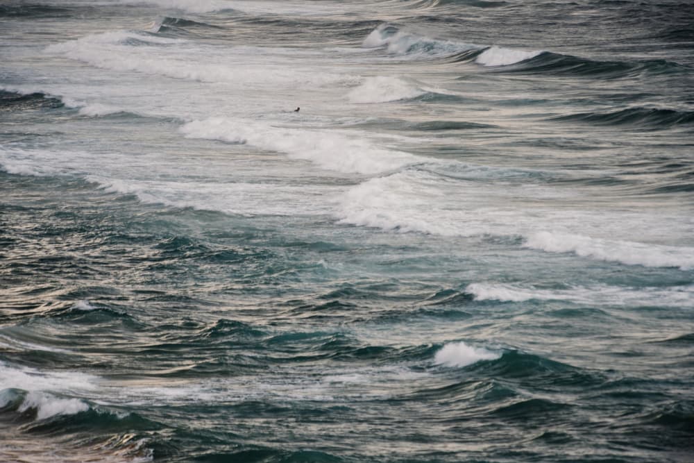 Rolling Ocean Waves by Tal Paz-Fridman — canvas wall art