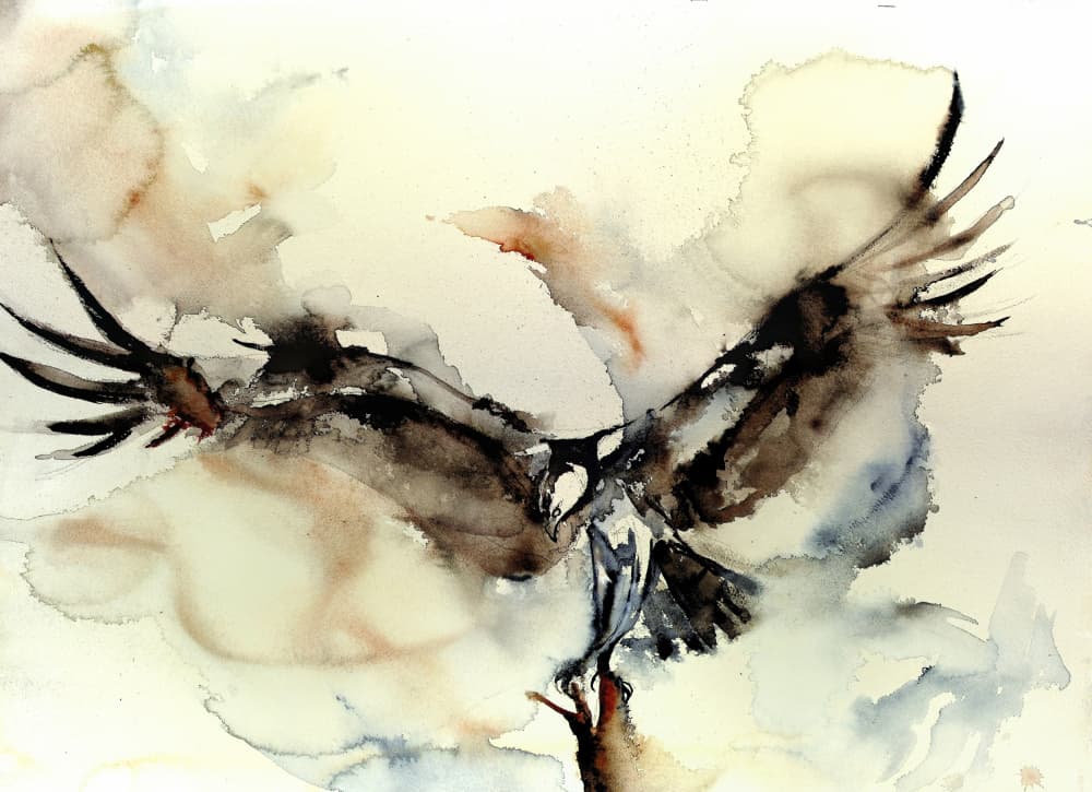 Dynamic Osprey Flight by RodMacIver — canvas wall art