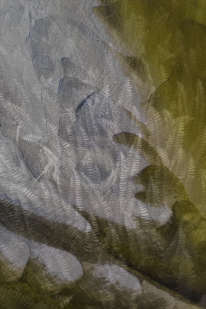 Dappled Fern Shadows by Pelin Atilla — canvas wall art