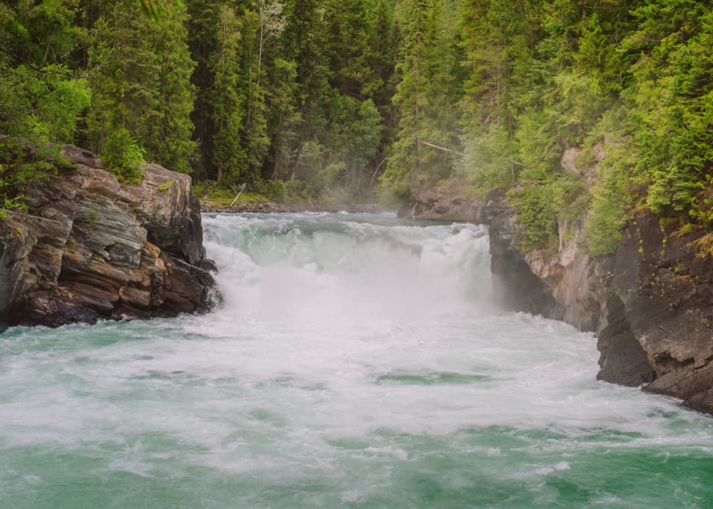 Rushing Forest Waterfall by Lynann Colligan — canvas wall art