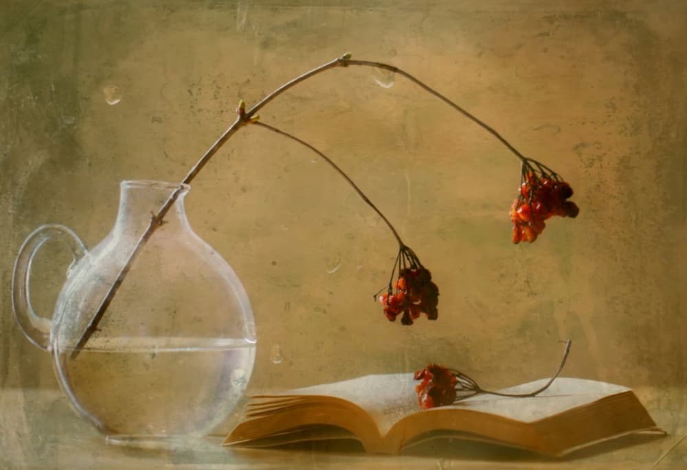 Quiet Autumn Still Life by Delphine Devos — canvas wall art