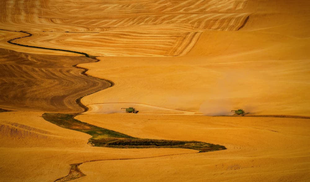 Harvesters in Golden Fields by Joanna W — canvas wall art