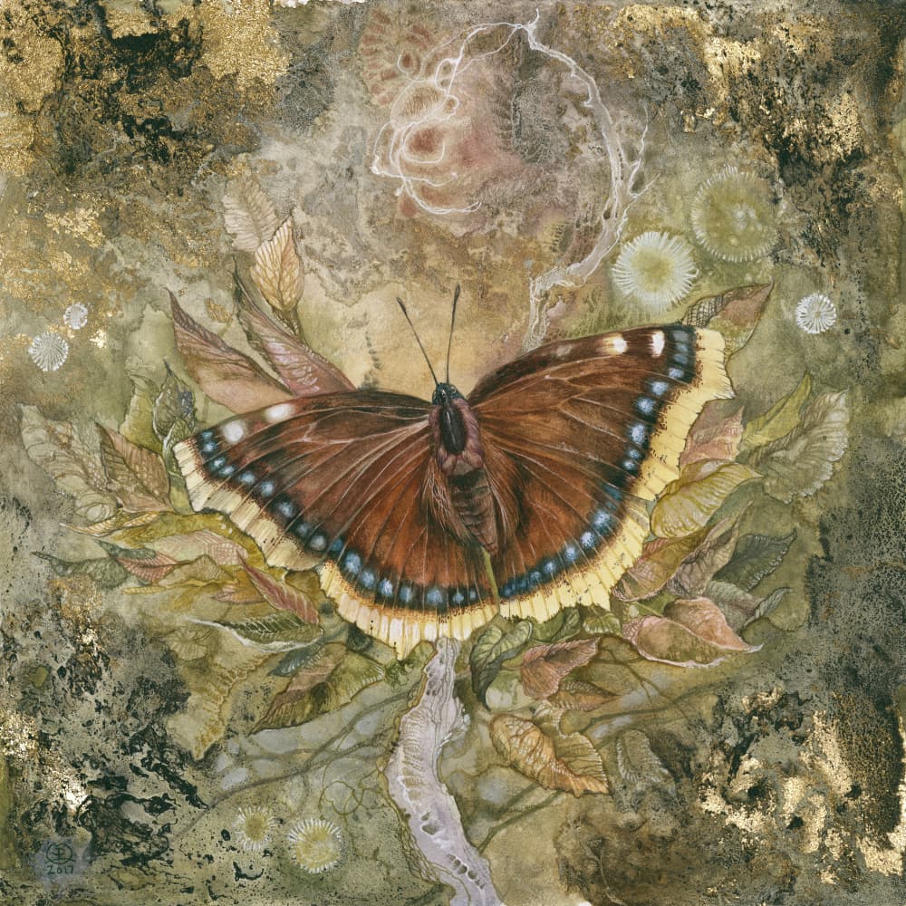 Ethereal Butterfly Wings by Stephanie Law — canvas wall art