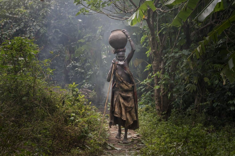 Misty Forest Wanderer by Sarawut Intarob — canvas wall art