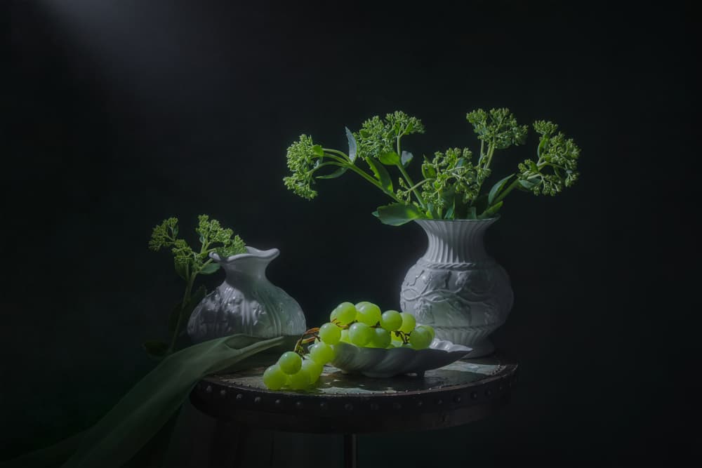 Green Grapes Still Life by Lydia Jacobs — canvas wall art